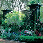 Trellis
